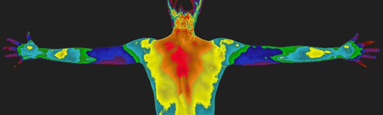 thermography-sale